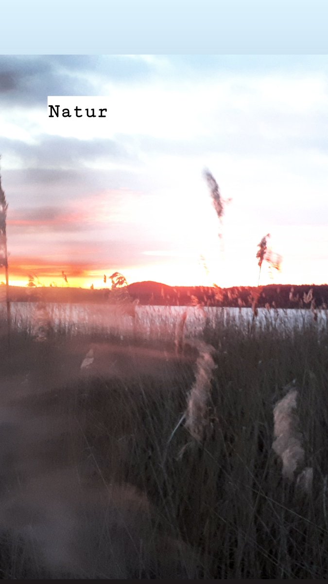 FotoSuse (@fotosusemunkelt) on Twitter photo 