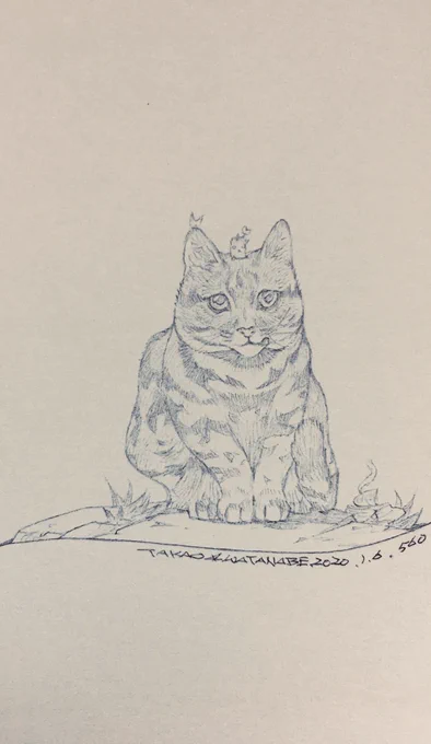 No.B0560

「クロアシネコ」

僕、今少しニンゲン界で話題なんですよ。世界でもっとも小さい猫!とか、小さいけど獲物の捕獲精度が高い!とか、足の裏が黒くて可愛い!とか色々言われてます。羨ましいですか?僕は別に、という感じなんですけど。

#渡辺孝夫デジタル画集
#孝夫原画
#コケダマちゃん 