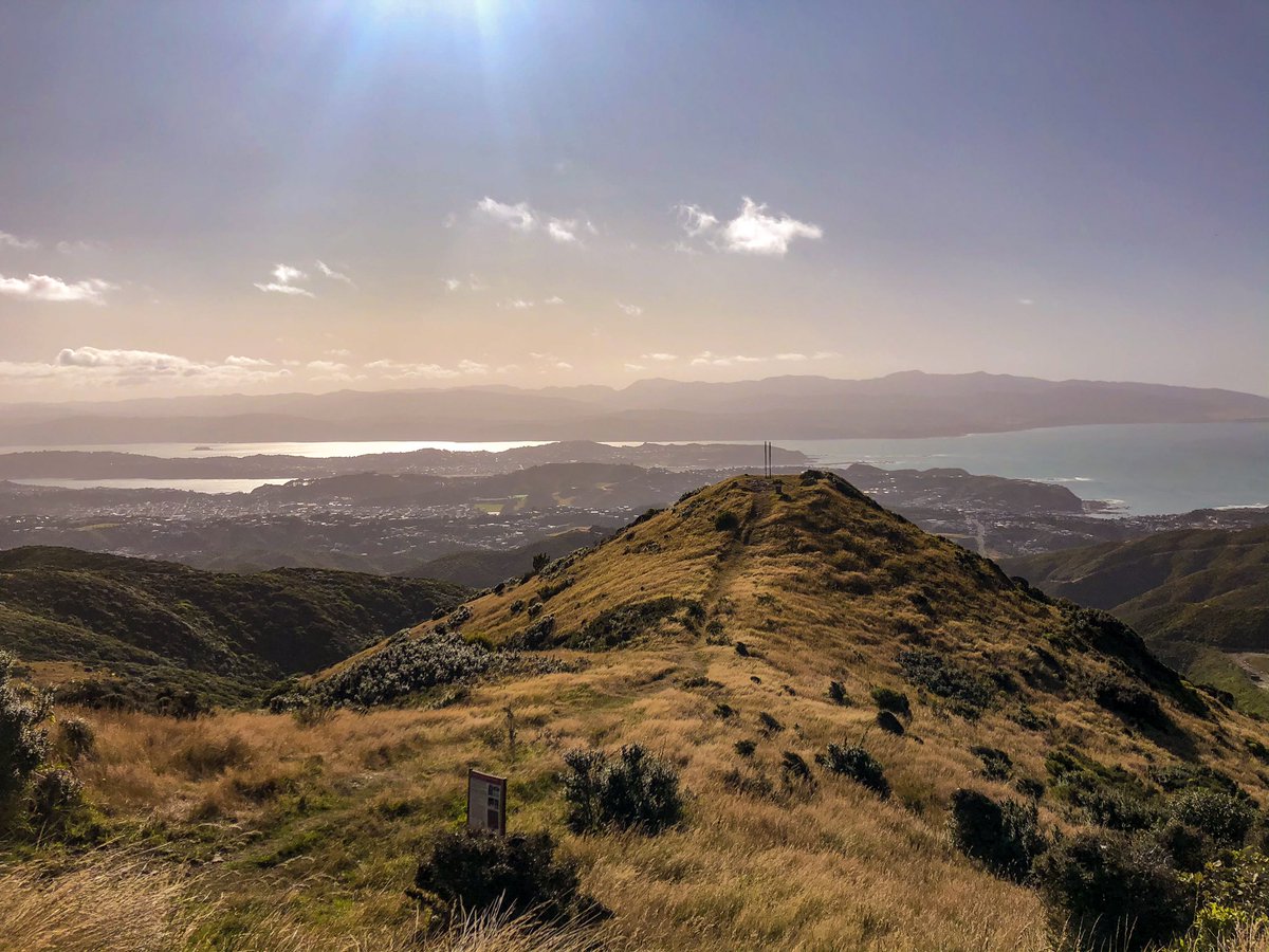 lynzsutt's tweet photo. Ok, peak training done. Up at 5 for my final training ultra. Can’t say it’s been easy. 3 ultramarathons in last 3 weeks and countless long & short runs over the last 2 months. I do not feel ready #relentlessforwardmotion @oldghostultra sunrise and the trail! https://t.co/gvMOLBEooN