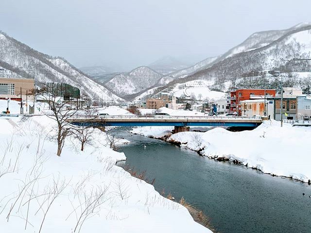 #rausu #shitetoko#hokkaido #saketours #hokkaido2020 for #rausukombu &amp;;#ezobafununi with #sake. #saketours2020 ift.tt/2OvF4Rr