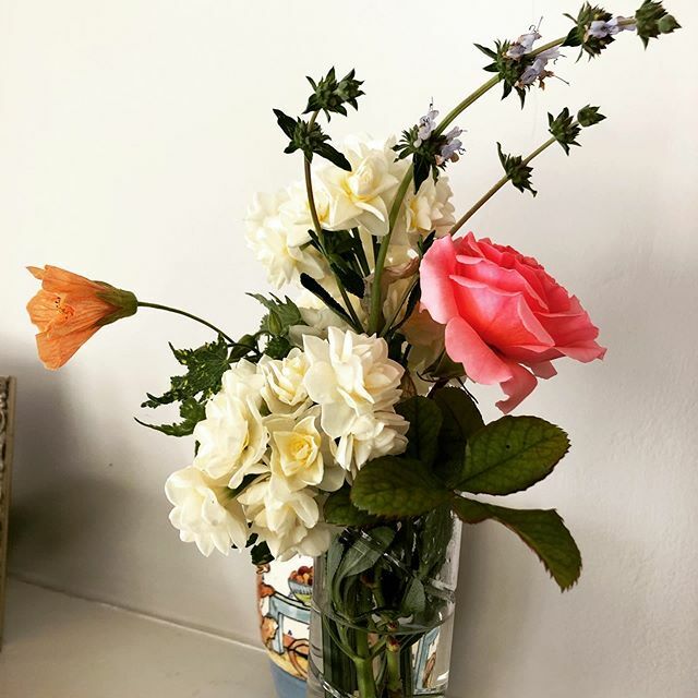 EdenCondensed's tweet photo. Posies from my yard today.
#narcissus #abutilon #sage #pinkroses #gardenstyle #cuttinggarden #floraldesign #winterinla https://t.co/gsJDqSjgZO https://t.co/sDJDEQzJMb