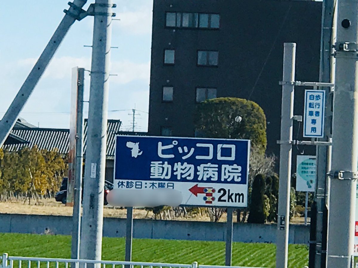 ガンバちゃん Ta パワハラを受け 精神崩壊 無理矢理退職願を書かされて 現在失業中 家庭は崩壊 ピッコロ動物病院だってs D ﻌﻌﻌﻌ ドラゴンボール ピッコロ ガンバちゃん Ta パワハラを受け 精神崩壊 無理矢理退職願を書かされて 現在失業中 家庭は崩壊 ピッコロ動物病院だってs D ﻌﻌﻌﻌ ドラゴンボール ピッコロ