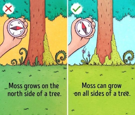 S B Magazine tweet media