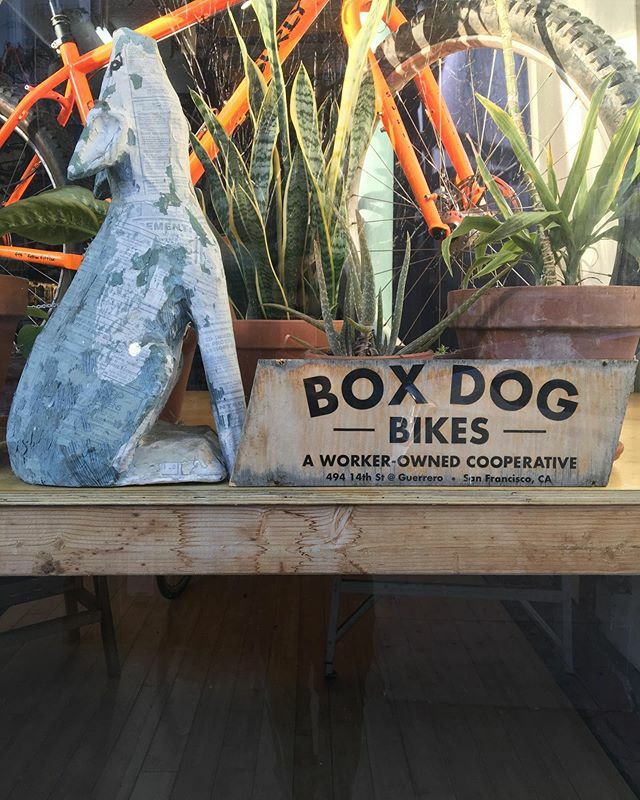 boxdogbikes tweet media