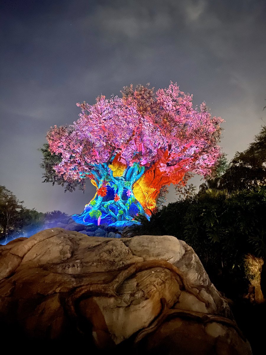 RAttler cheer bringing life to the Tree of Life at Animal Kingdom!