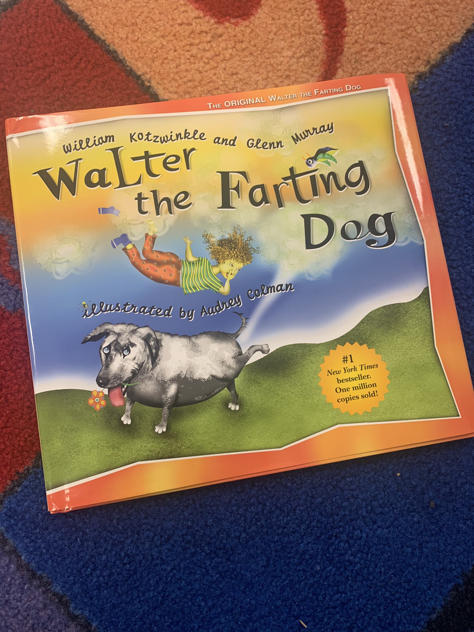 Why Is My Old Dog Farting So Much