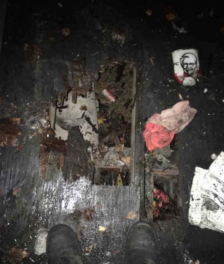 I need a girlfriend to help me clean my bedroom :(