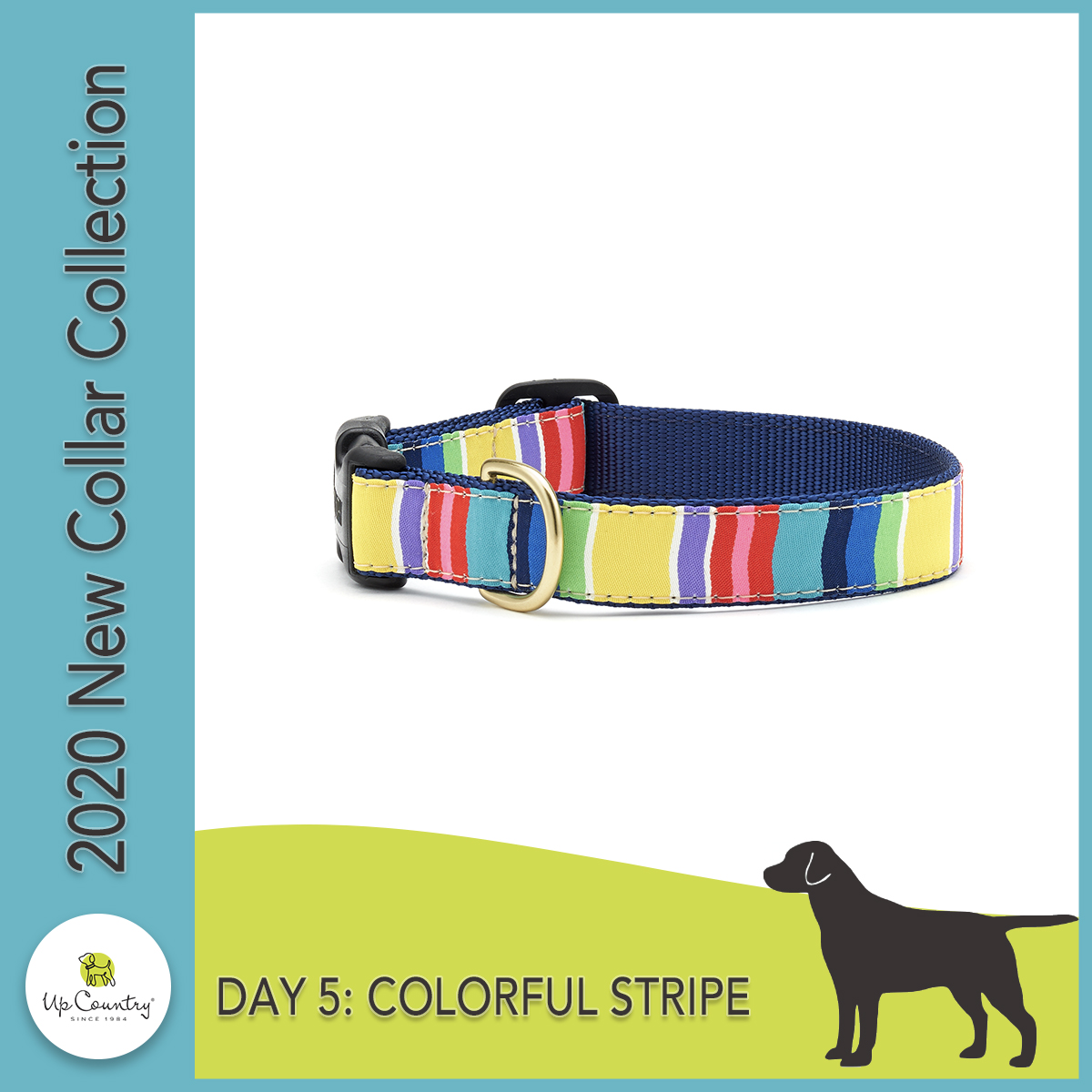 UpCountryInc's tweet photo. Introducing our NEW 2020 designs! Shop ALL new designs here: https://t.co/gPzGvkpbJ3 and enter day five here: https://t.co/CysBvQqOtU #UpCountryDog #UpforLove https://t.co/X0pnAOHFe7