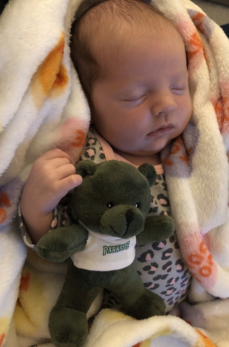 Andrew Gavin tweet media