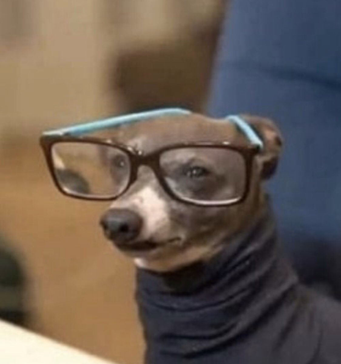 alitravv's tweet photo. peter: you’re gonna make someone so happy some day
victoria p: 
#TheBachelor https://t.co/n190EKJoU4