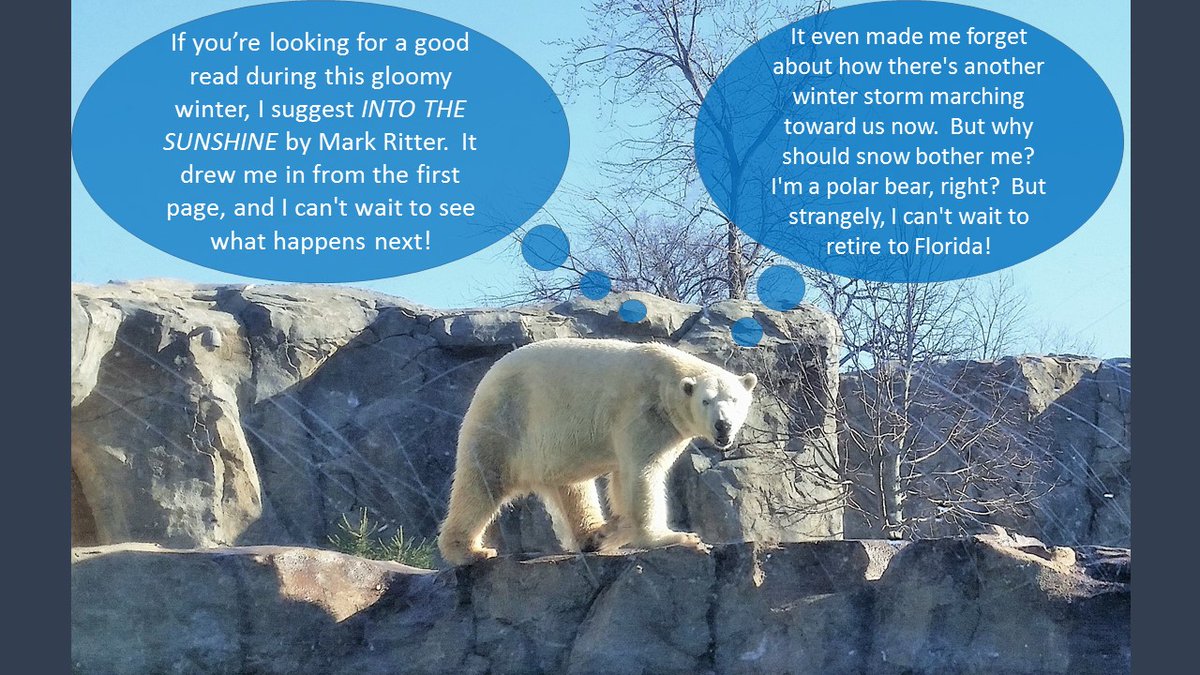 To thank all of you (my Twitter followers) as I quickly approach 600 followers, the e-book version of my brand new novel is only $5.99 for 1 week only!  Ends Tue, Feb 11.
amazon.com/gp/product/B08…
As you can see below, it's quickly catching on among everyone! 😀