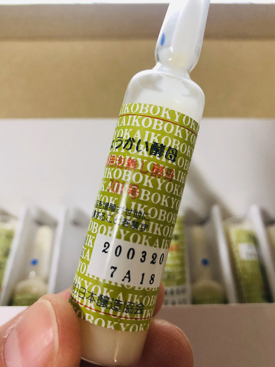 darumashigeri's tweet image. 達磨正宗の古酒用のお酒の仕込みがいよいよ始まります。さっき、日本醸造協会から、きょうかい酵母のアンプルが到着しました。

古酒にするお酒は、協会701号酵母です^_^