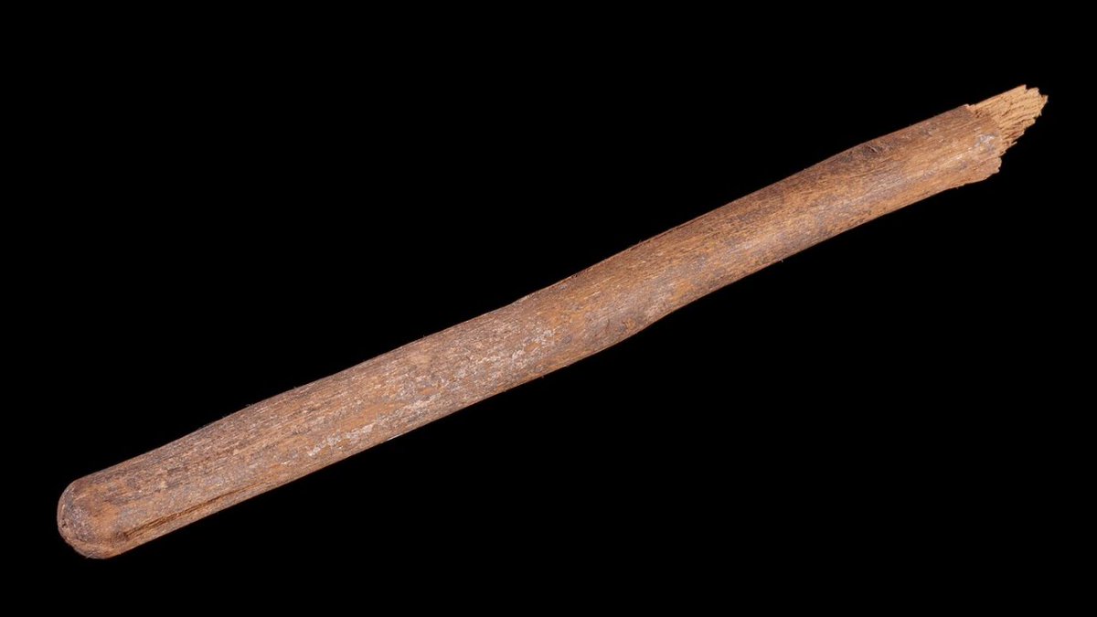 A wooden stick. Палка деревянная. Дубинка деревянная. Большая палка. Толстая палка.