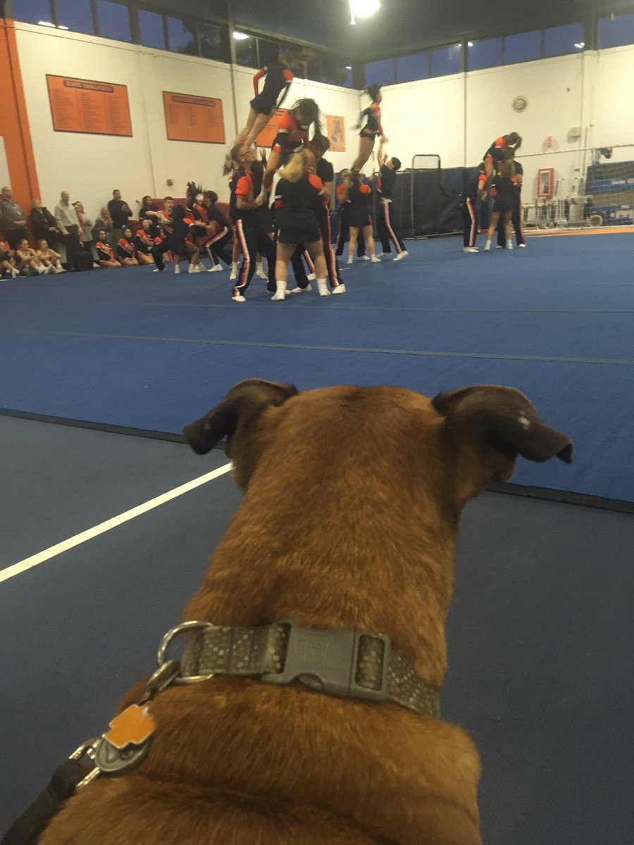 BGHS Varsity Cheerleaders are the Best! Good luck at State. I’ll be watching!