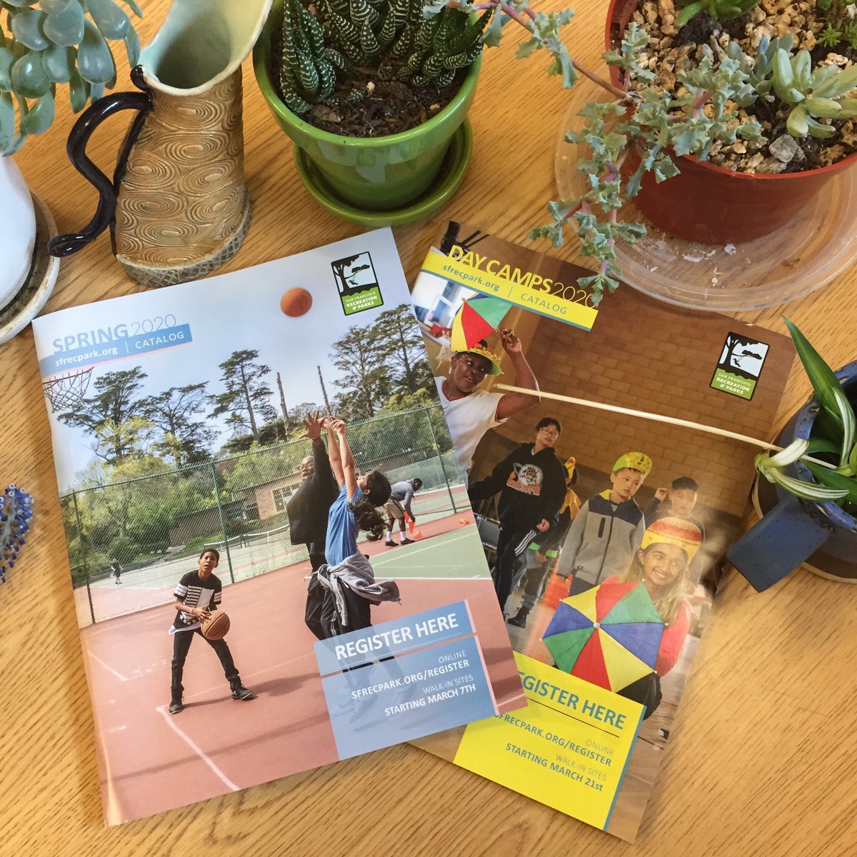 MissionArtsCtr's tweet photo. Spring may not be in the air just yet, but Spring 2020 catalogs are in @MissionArtsCtr 🌸
Stop by and pick up your #spring and #daycamp catalogs today and start planning!
#missionartscenter #missiondistrict #sfrecpark #spring2020 #summer #summer2020 #classes #summercamp https://t.co/S88PNqfi5Z