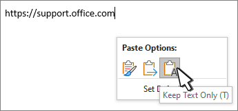 The paste options menu