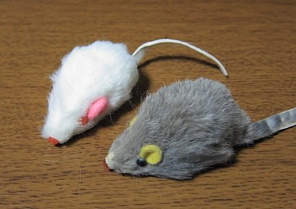 ブリーク ウイルス 証書 ネズミ の おもちゃ 猫 ゾーン 素敵な 窓を洗う