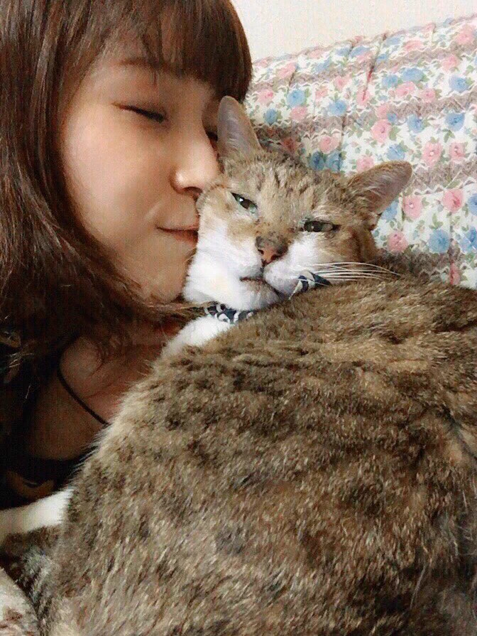 いもちゃん（ねこ）が永眠・最後まで一緒にいてくれてありがとう！！！