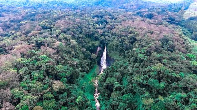 ChimpReports's tweet photo. #DRC: Pygmy Warlord Sentenced to 15 years in Prison #ChimpReportsNews #UgandaNews #Uganda #Featured #Warlord #DRCongo #Pygmy #JeanMarieKasula #ICNN #Thursday #ThursdayThoughts #ThursdayMotivation #news https://t.co/mNBD1jysbI https://t.co/DlPA8j8MvI