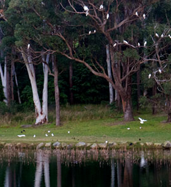 Have you seen our latest news? conta.cc/2GTpSJP