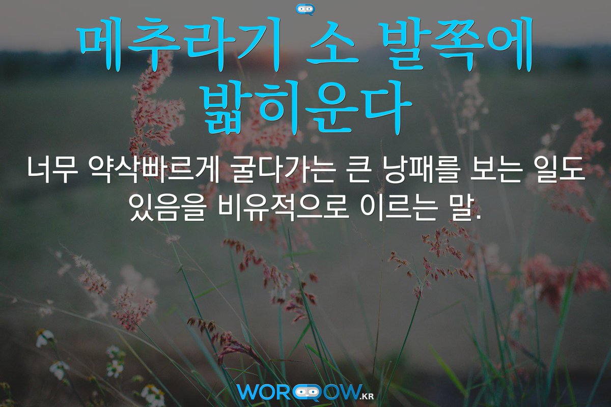 [속담 풀이] "메추라기 소 발쪽에 밟히운다"의 뜻: 너무 약삭빠르게 굴다가는 큰 낭패를 보는 일도 있음을 비유적으로 이르는 말. #메추라기소발쪽에밟히운다 #소속담  #메추라기속담  #일속담