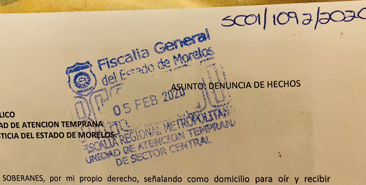 Vane Perbellini tweet media