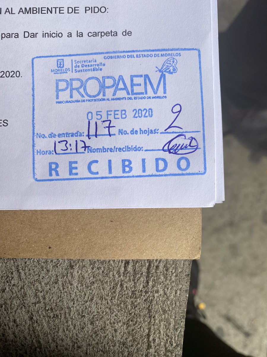 Vane Perbellini tweet media