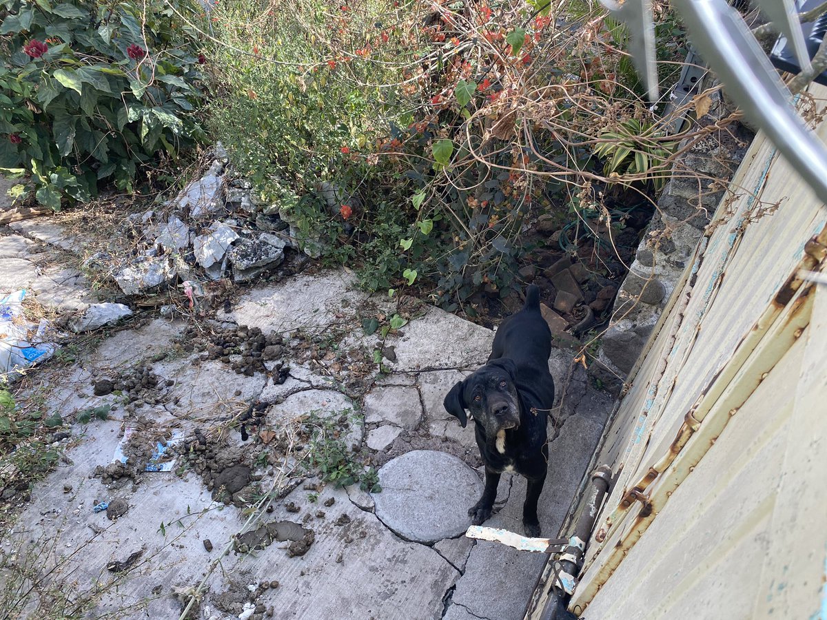 Vane Perbellini tweet media