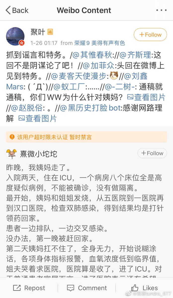 8. This FUCKING SUCKS. You see families begging on Weibo, and in the comment section, there are people trolling them. You see they tried to explain themselves with extensive records, and all these efforts are “debunked” by online strangers prosecuting any trace of inconsistency