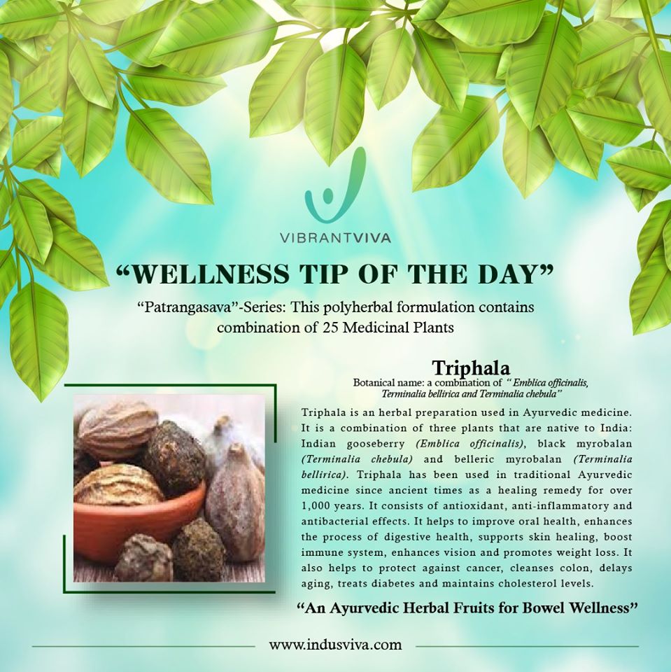 IndusvivaPvt's tweet photo. #ThursdayThoughts  #ThursdayMotivation #medicinalplants #healthytips #HealthyLiving #healthylifestyle #HealthyFood #wellness_tips #DailyInspiration #dailythoughts #indusviva #vibrantviva https://t.co/Km1NJUufvS