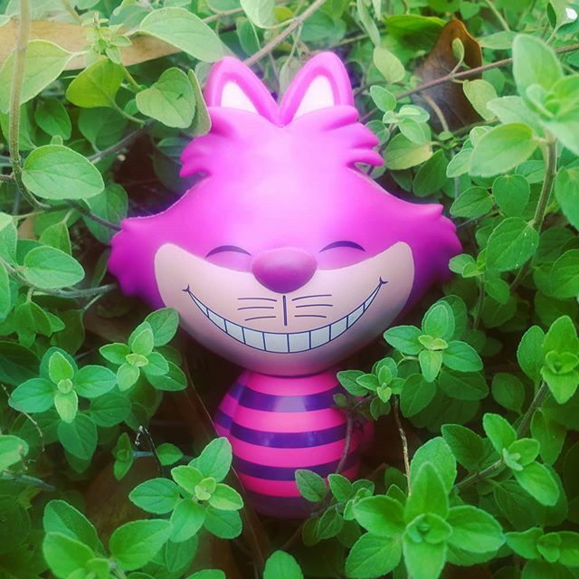 DorkFour's tweet photo. I can't know everything.

#funko #funkopop #cheshirecat #aliceinwonderland #topfunkophotos #tfp_axingquestions #toyphotography #toyartistry #toycrewbuddies https://t.co/k4m7qbwq5l