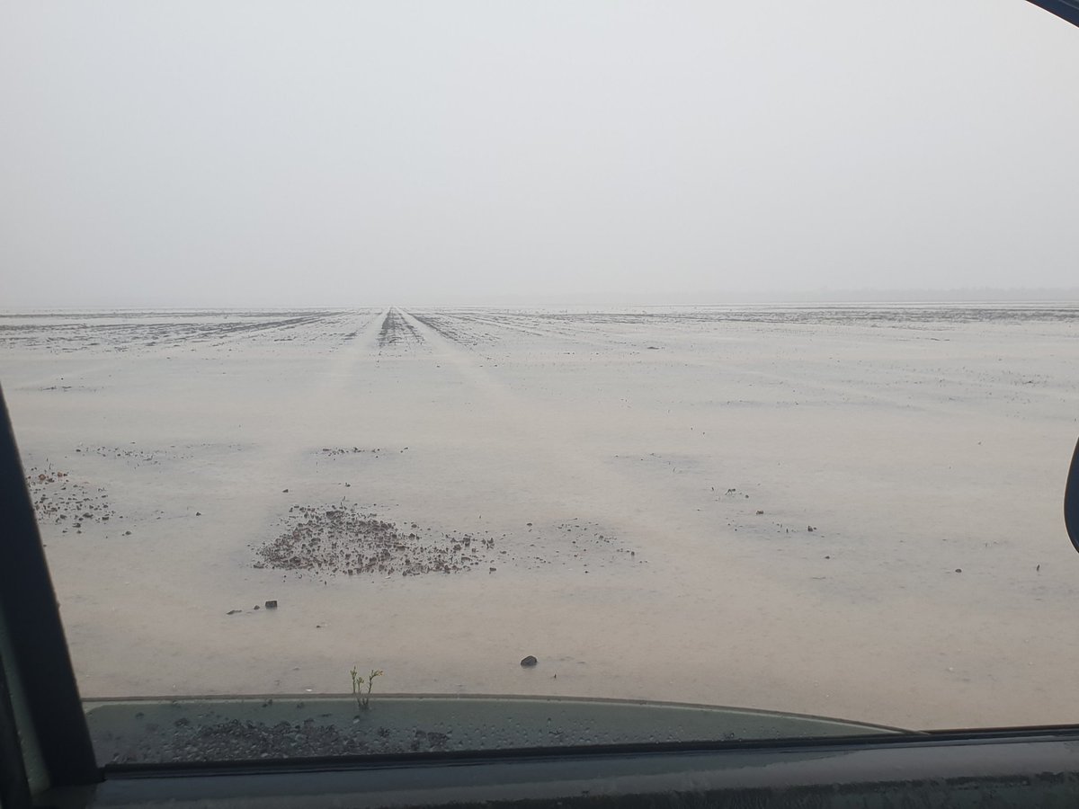 340mm in the last three weeks at this rain gauge. Hold my beer while I digest that. 140mm more than last year's total rainfall in three weeks, or half of our historical yearly average. Dorathea Mackella anyone?  #wtaf #rain #ausag