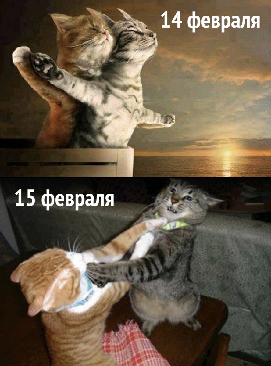 drunktwi's tweet photo. Уже скоро https://t.co/P6RWIWo6cs