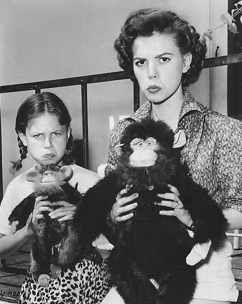 In a publicity shot for 'Rebel Without a Cause', two girls pose holding up toy apes & frowning playfully. At left is Lana Wood, a young girl with her hair in plaits. At right is Natalie Wood, a teenager with her dark hair set 1950s-style in short waves. She has striking large, dark eyes