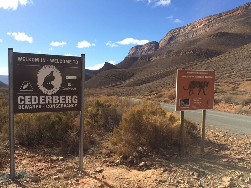 WestCoastWaySA's tweet photo. Dare to venture into the #WildRoute and discover the challenging peaks of the Cederberg.
Call 0861 321 777 or tours@westcoastway.co.za for more trips and tips around the #WestCoast.
#WestCoastWay #WildRoute #gowild #westcoast #travelsa
More details - https://t.co/VlX3QKtdLN https://t.co/VPD3FHoUrI
