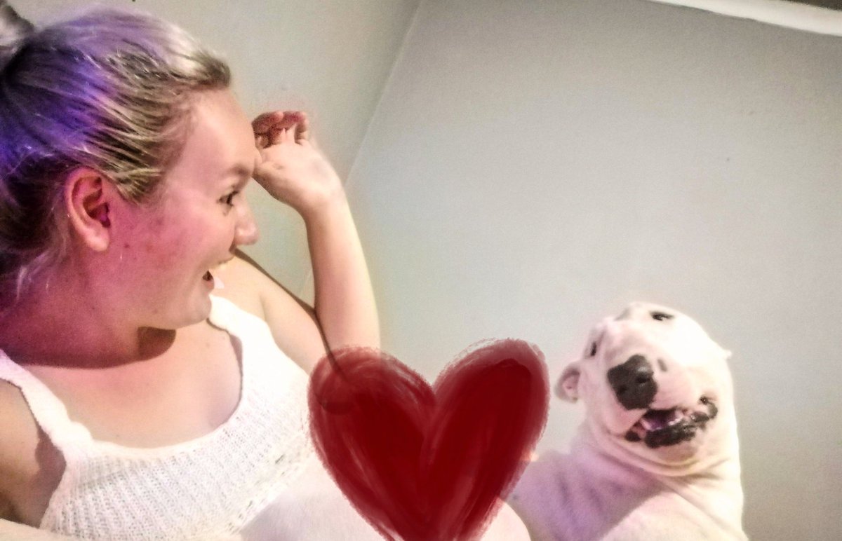 RVarkie's tweet photo. Soveel liefde net vir jou ♥️

#bullterrier
#ThursdayMotivation https://t.co/p3ymbEAXBY
