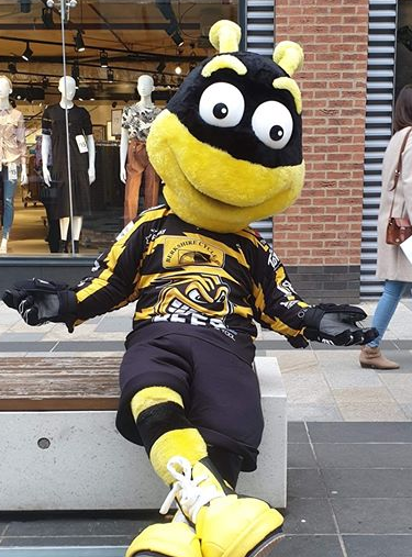 BracknellForest's tweet photo. On Saturday, 8 February Bracknell Bees will be at #TheLexicon! Meet Buzz and play a game in Town Square, outside the library 10am-4pm. #events https://t.co/B3QMU24kKM