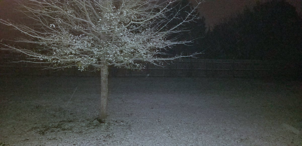 Just enough to cover the ground in Hutto, Tx!  #ewxspotter #txwx