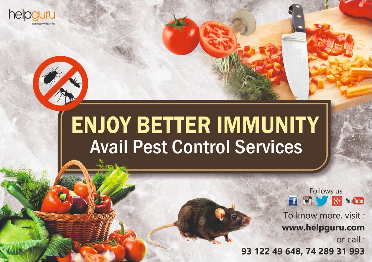 HelpguruG's tweet photo. Looking for Pest Control Services?
Don't hunt anymore.
Book here: https://t.co/DBm68OOVXS 

#Book #Helpguru #PestControl #Services #Online #Delhi #Noida #Ghaziabad #Mumbai
 #Rodent #Bedbugs #Termites #Control #Misting #Fogging https://t.co/8qXEl3MfEj
