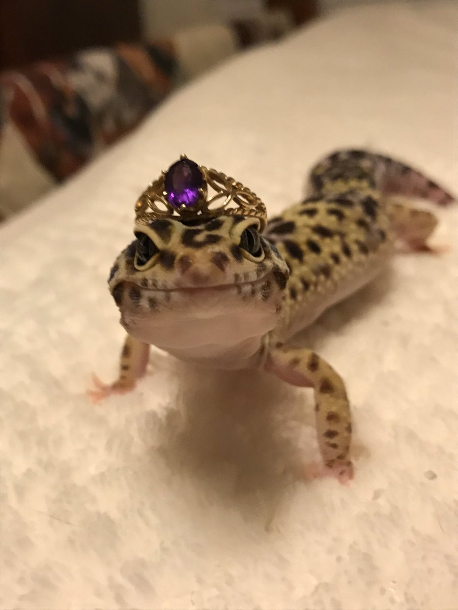 𝕒𝕟𝕘𝕚𝕖 🔆 (@atisutokami) on Twitter photo 