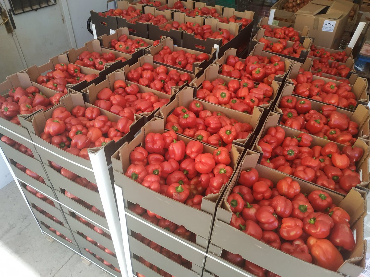 VillaJavierInfo's tweet photo. DONACIÓN DE PIMIENTOS ECOLÓGICOS

Una de las empresas más solidarias con Villa Javier es @gumendi, de Lodosa.

En esta ocasión nos han donado 960 kgs. de pimientos rojos ecológicos de 1ª calidad

Muchísimas gracias por seguir apoyándonos, con amig@s así... 

...¡AL FIN DEL MUNDO! https://t.co/B0GtcrBKYJ