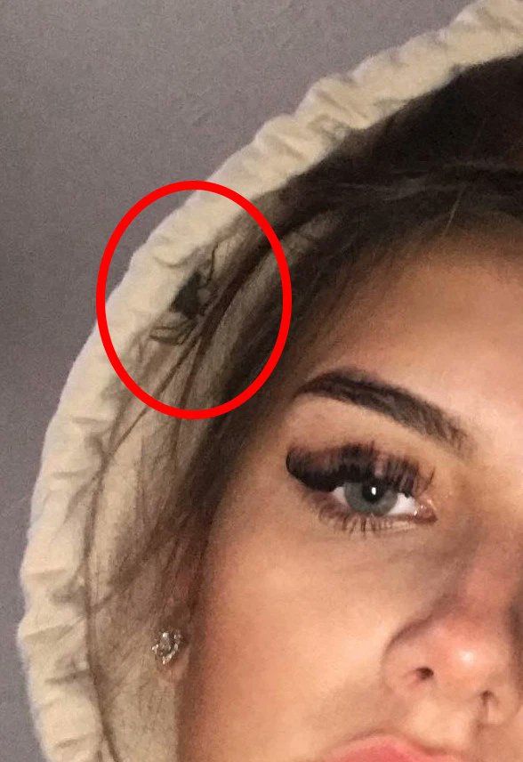 Jamess12316's tweet photo. Olivia Nunn, who was feeling slightly worse for wear after a big night out with the girls, sent a selfie to the group chat - but had failed to notice an unwelcome guest hiding in her hood https://t.co/ffkmoSucPC