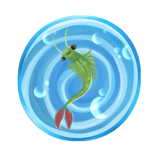 TMorrowArt's tweet photo. Have you every heard of fairy shrimp?? I love them. Just Shrimpin around like no ones business. Well done lil guys. https://t.co/sBx92NHA0F