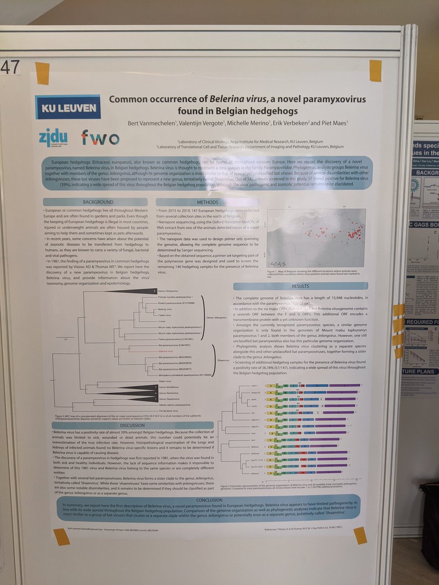 <a href="/MinIONBert/">Bert V</a> poster on discovery of a novel paramyxovirus in Belgian hedgehogs. Really interesting.