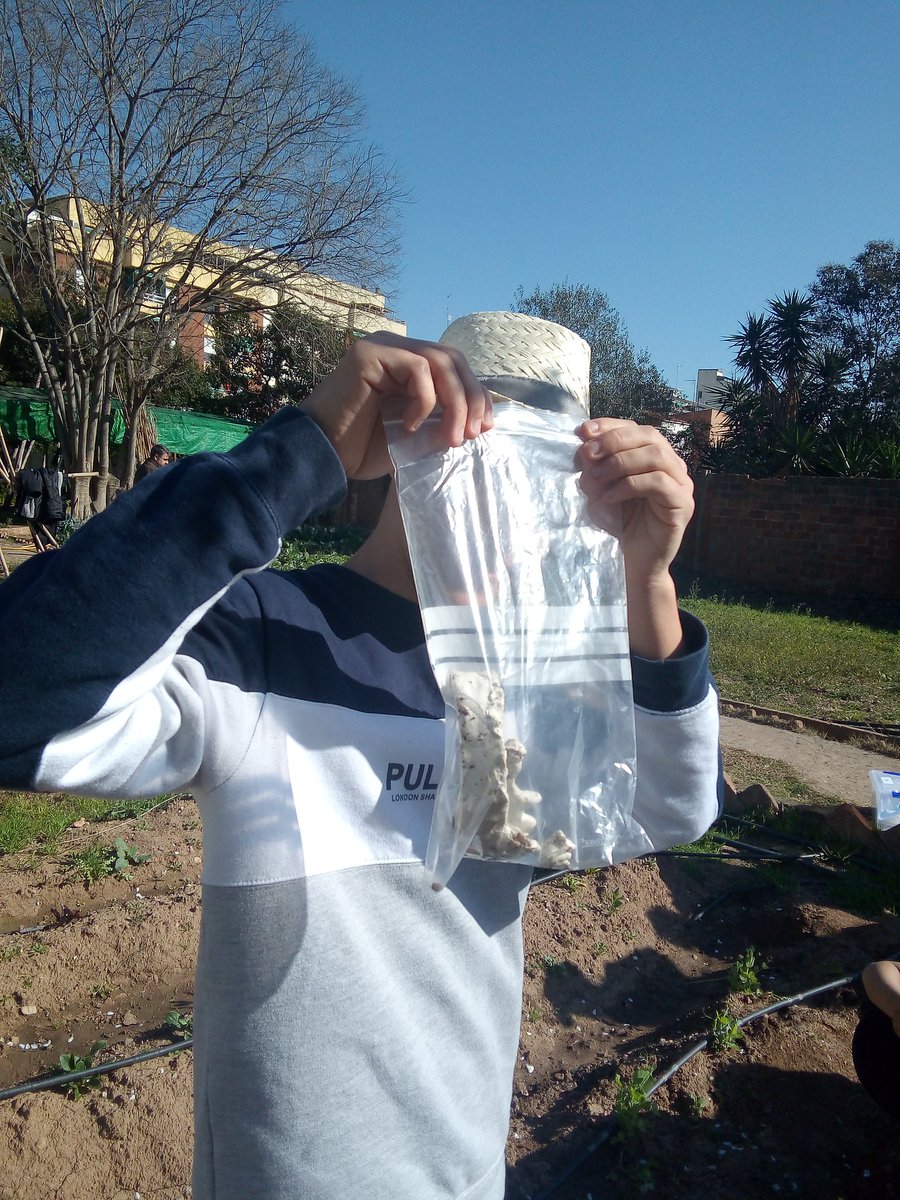 jdomenechca's tweet photo. Fent increïbles troballes paleontològiques als jaciments #Armshtadt3delta #ProyectandoBioGeo @InsMartaEstrada https://t.co/WsKACpSW4I