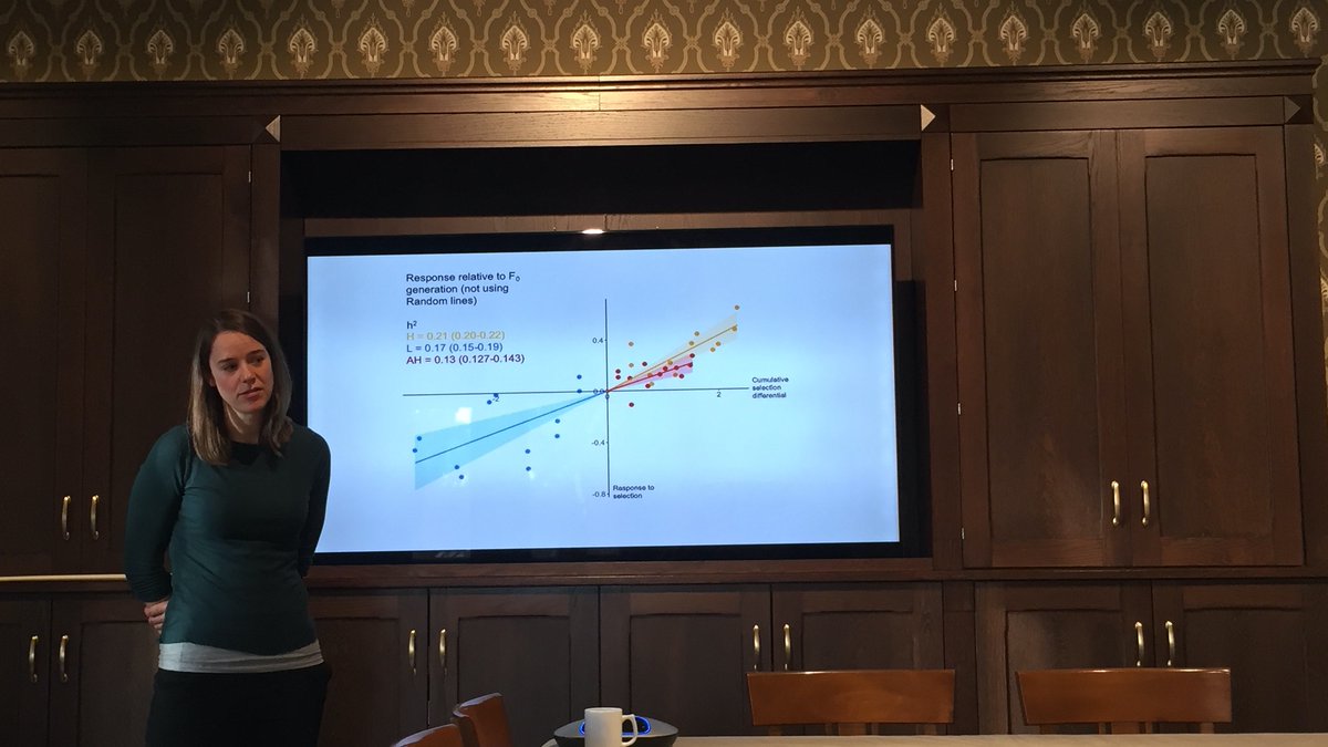 Today we enjoyed a great talk and following discussion by Rachael Morgan (@RachLMorgan13) on “#Evolution of upper thermal tolerance in zebrafish” at @CASOslo.