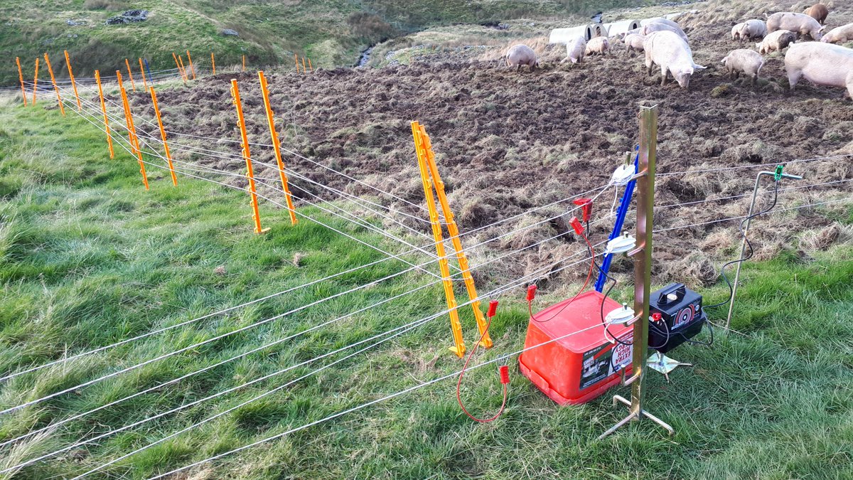 ElectricFencing tweet picture