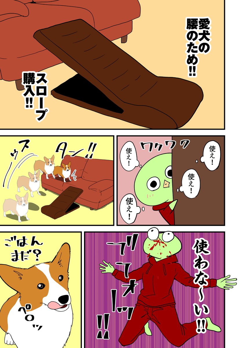 犬用スロープ買った話。 その49
#コーギーのいる暮らし 