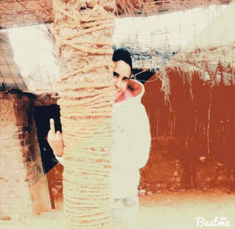 AdamLooks tweet picture