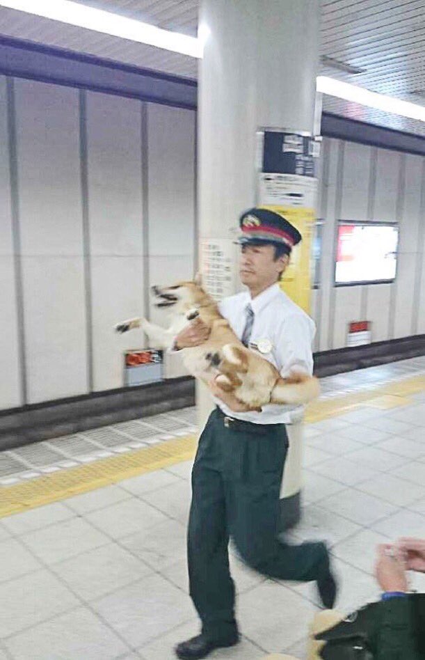 heisei_memorys's tweet photo. 動物連行シリーズ https://t.co/pl5rnAkiXo